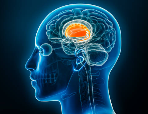 Parkinson's Disease